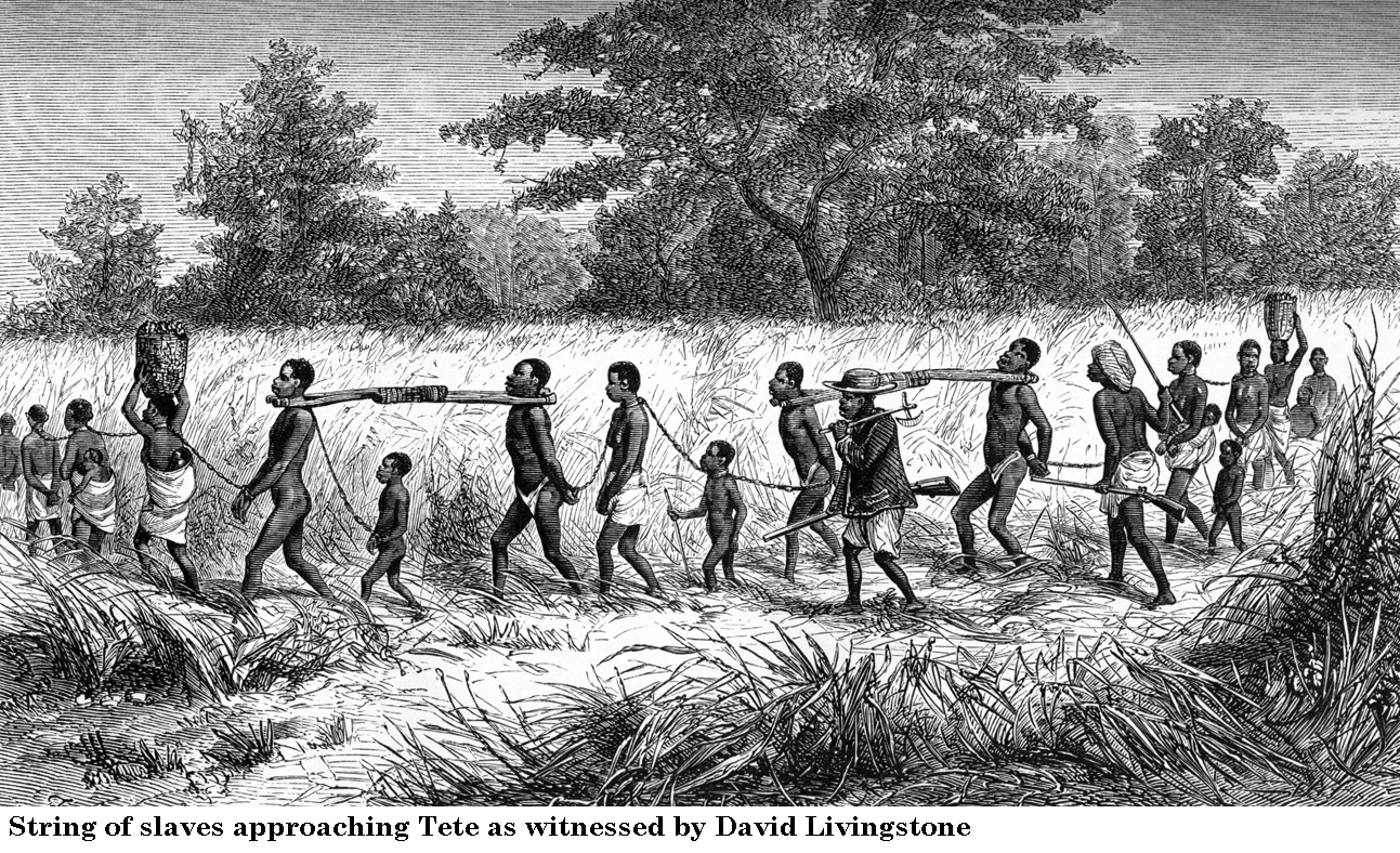 A string of slaves approaching Tete. When David Livingstone was sighted, the captors fled and the slaves could be freed